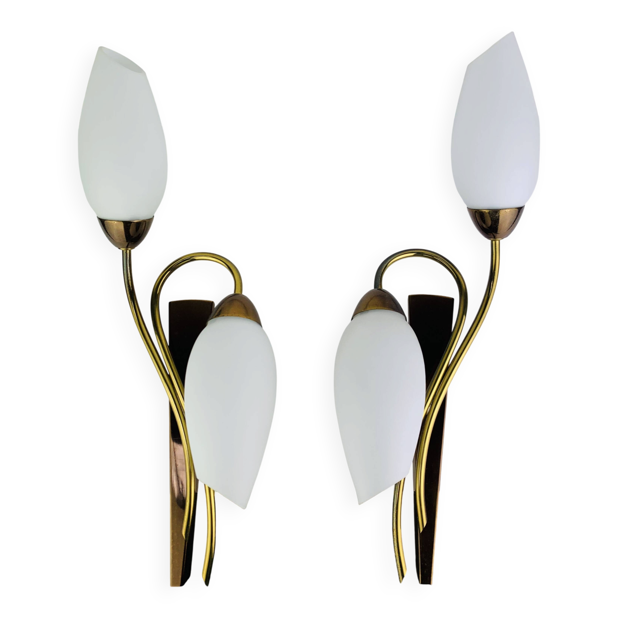 Pair of 1950s wall lights in brass and opaline tulips, Lunel/Arlus
