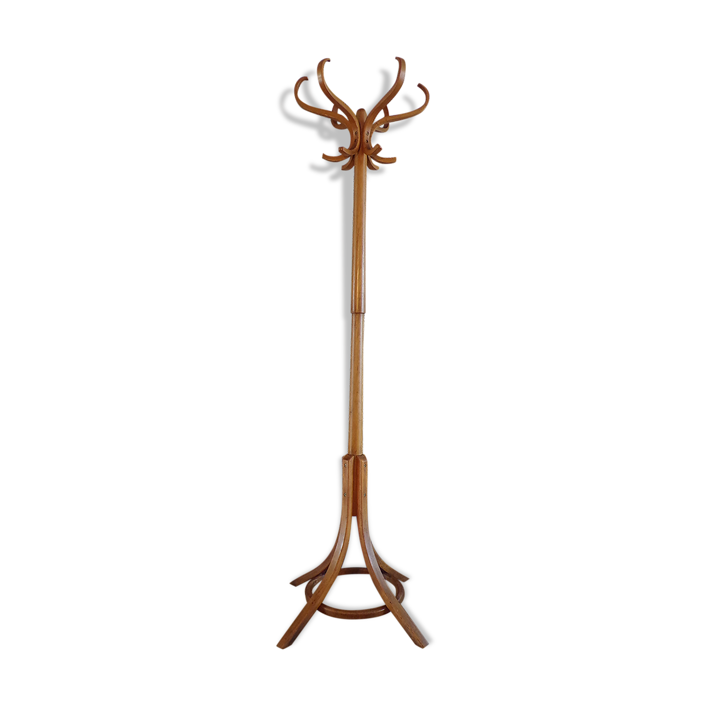 Vintage parrot coat rack in curved wood