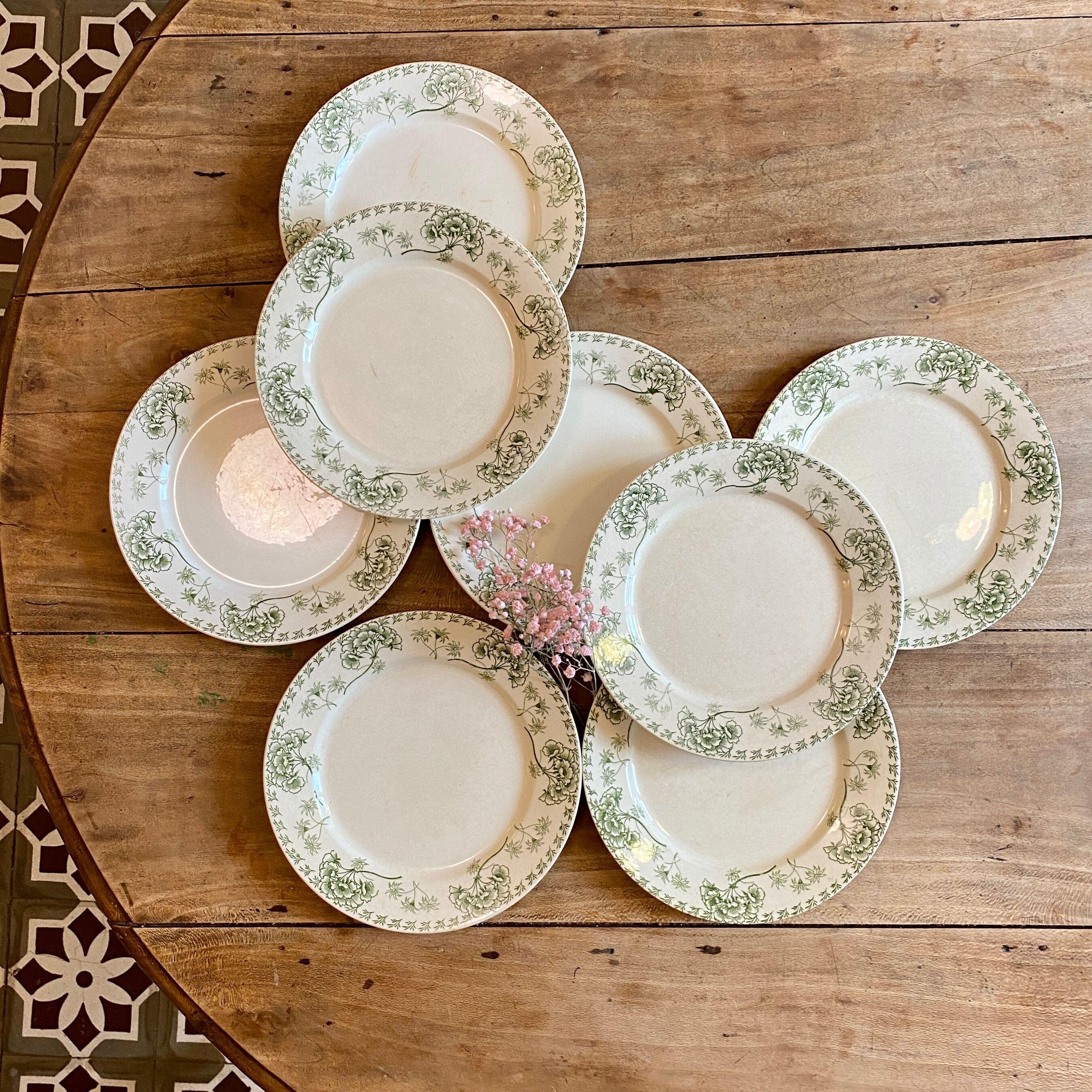 Set of 8 vintage plates in palmyre de sarreguemines iron earth (lot 3)