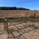 Antique brass bed with bars – Napoleon III style
