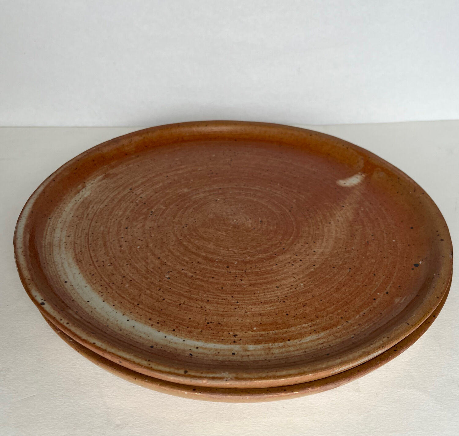 2 stoneware dinner plates