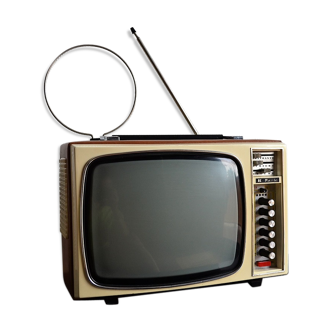 Téléviseur portatif Reela TV3200 vintage 1970s