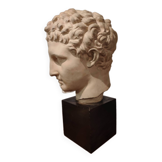 Bust of Hermes, terracotta