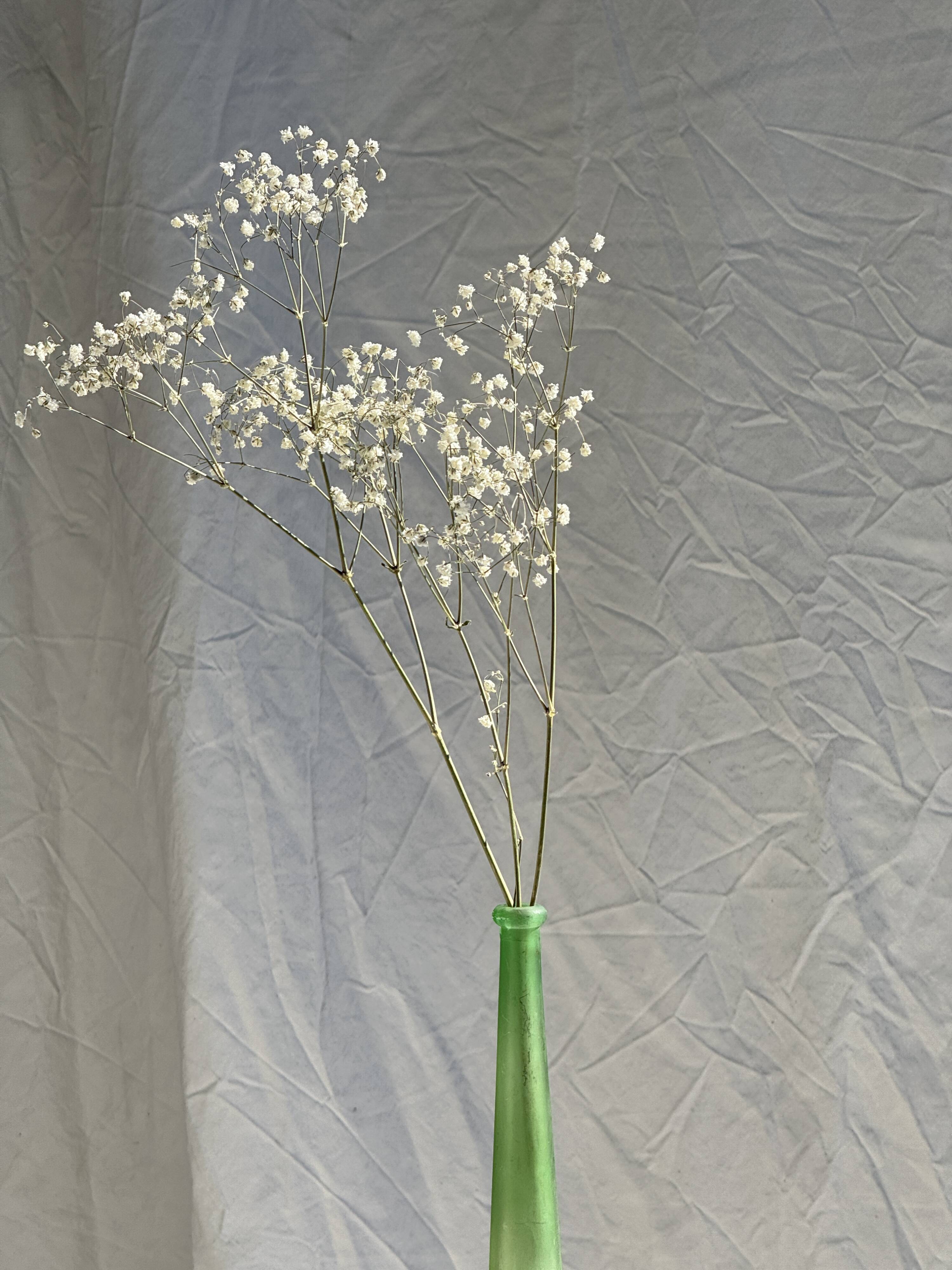 Vintage polished green glass soliflore vase H32