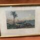 Gravure alger