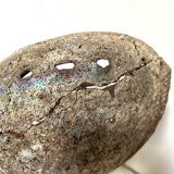 Vintage abalone shell lamp