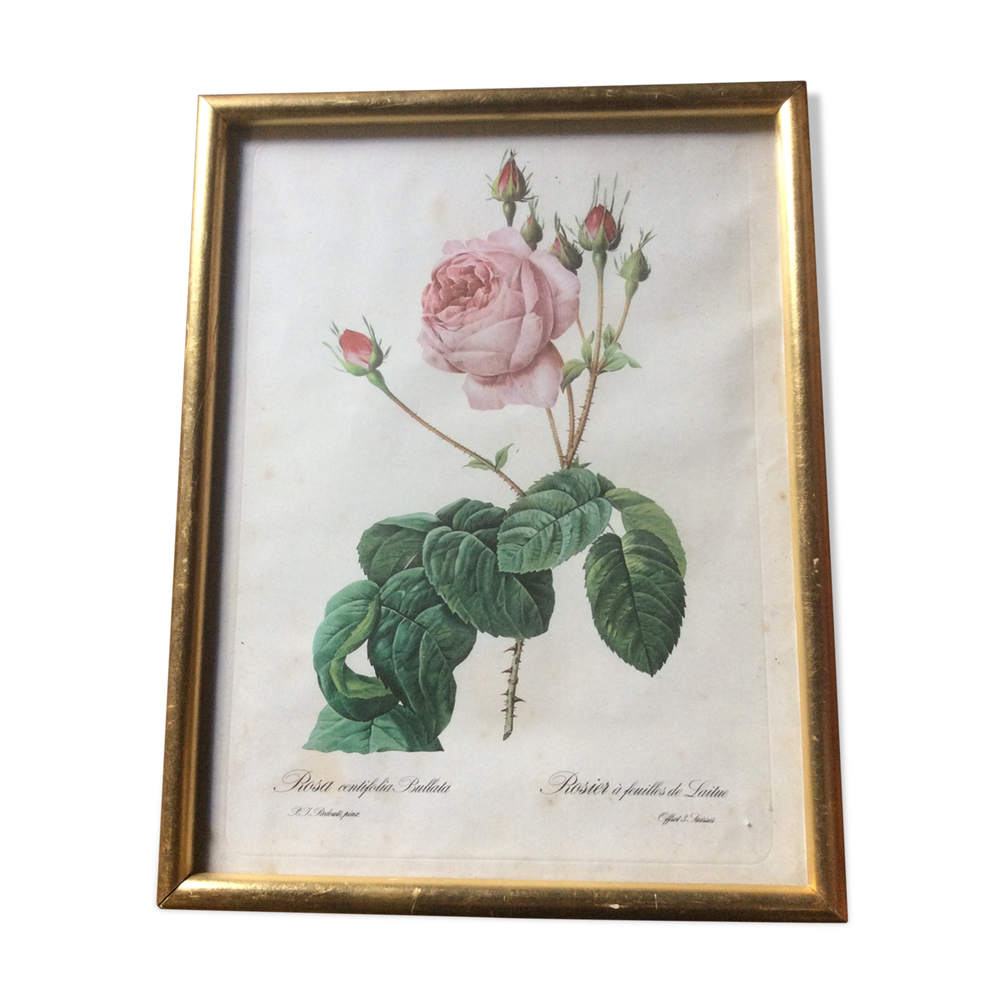 Dreaded "pink" engraving