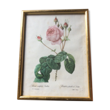 Dreaded "pink" engraving