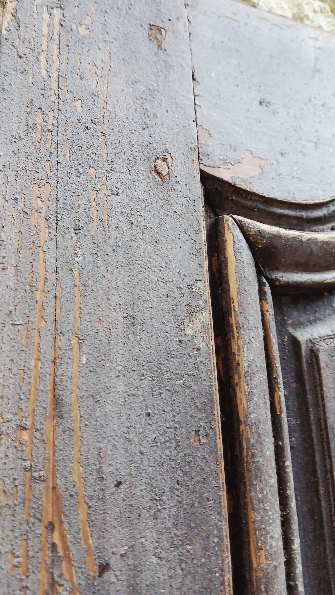 Pair of antique doors