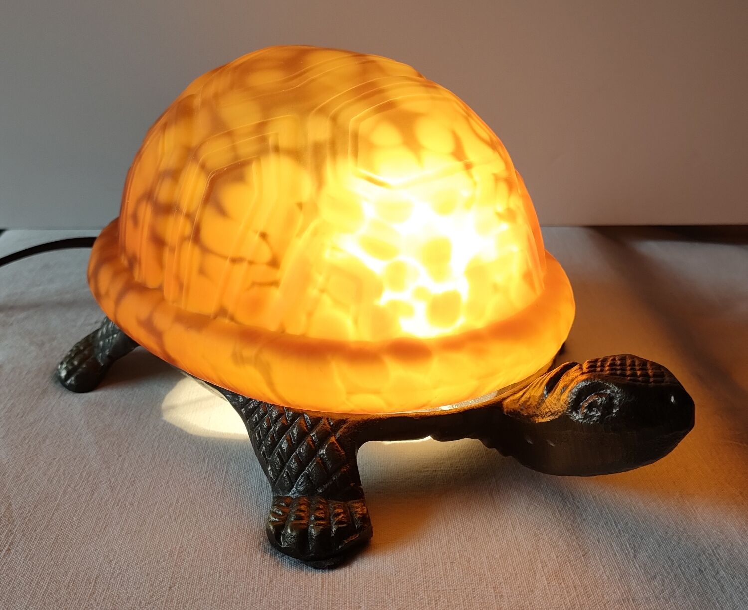 Night light turtle to pose