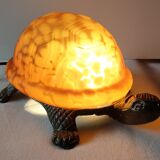 Night light turtle to pose