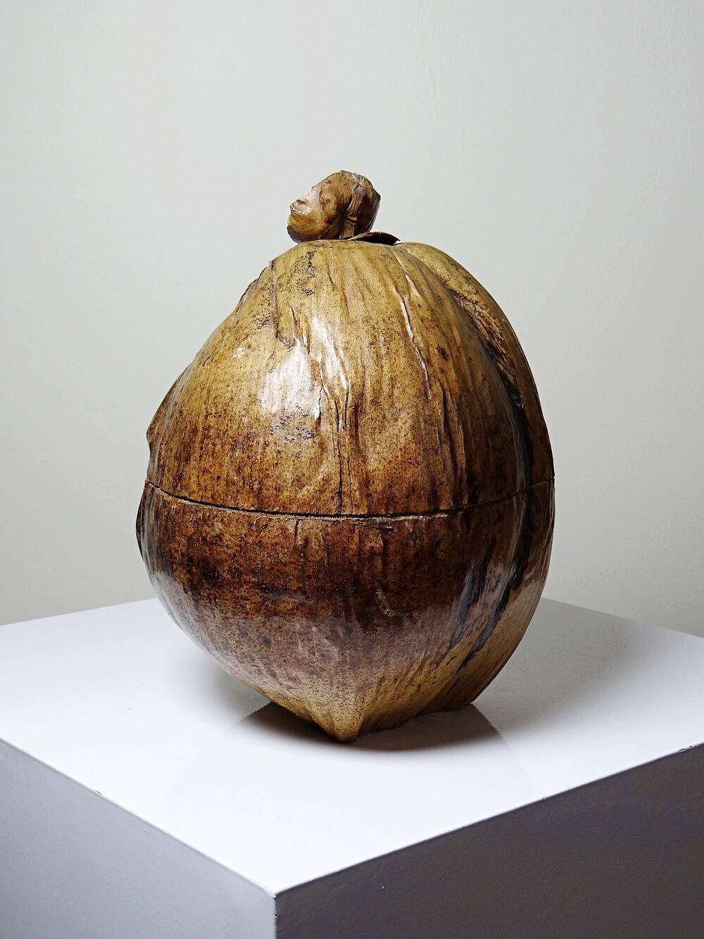 Large box/ice bucket curiosity Naturalised African Coconut vintage
