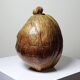 Large box/ice bucket curiosity Naturalised African Coconut vintage