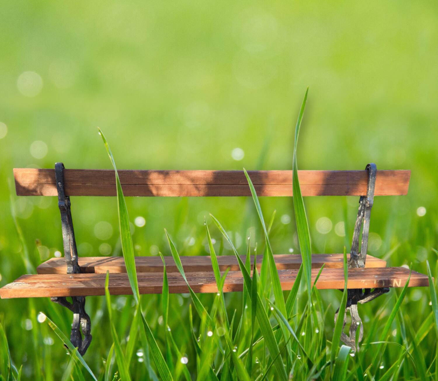 Antique double garden bench from the city of Paris in cast iron and wood