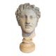 Very large Stucco head of a Roman figure