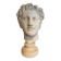 Very large Stucco head of a Roman figure