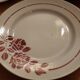 10 plates eden saint amand