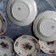 6 flat plates in earthenware of sarreguemines model agreste