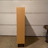 Vintage bookcase/display cabinet