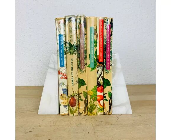 Pair of greenhouse books alabaster white marble