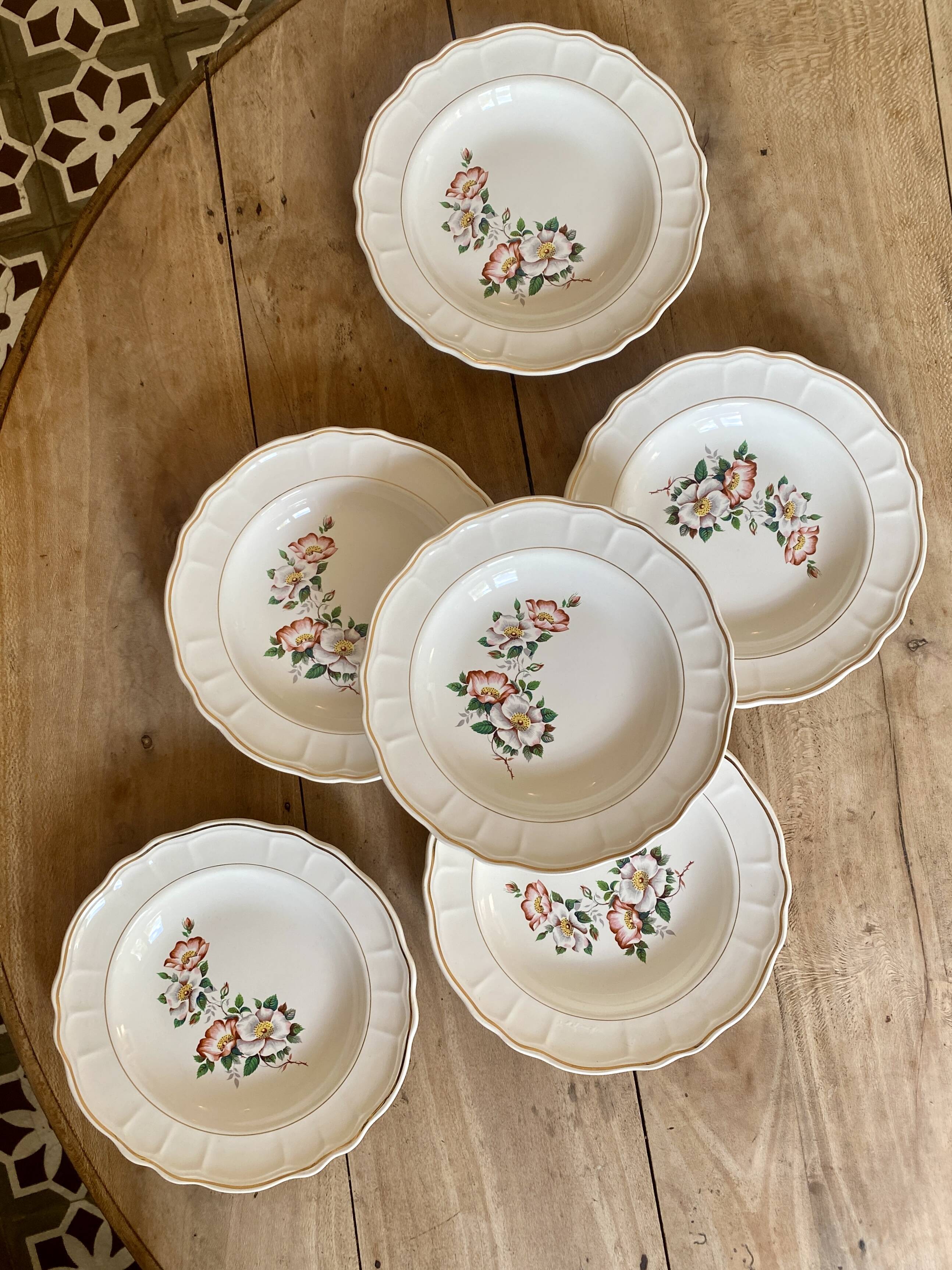 Set of 6 vintage Salins soup plates