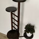 Plant holder