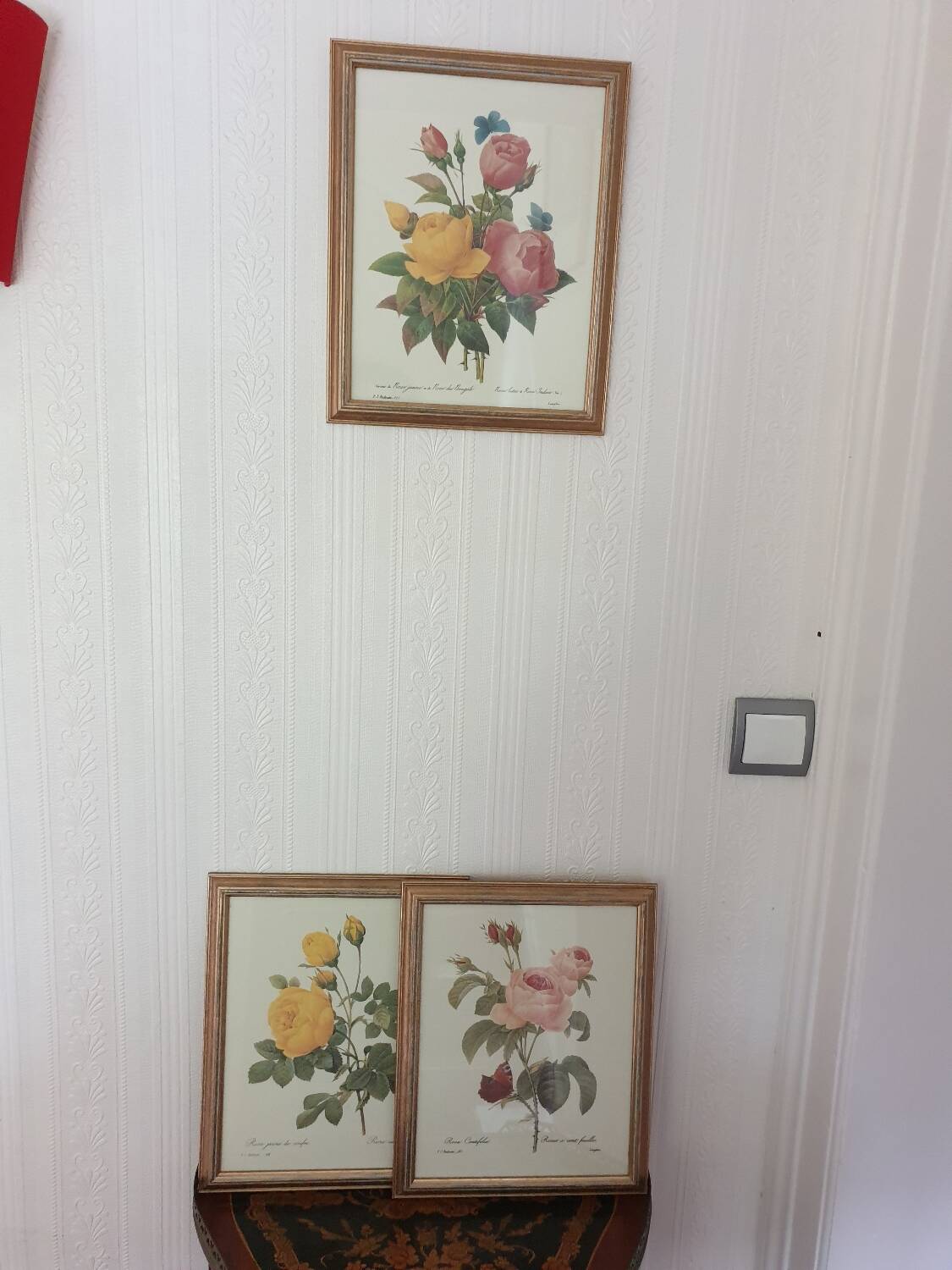 Botanical plate of Roses by PJ Redouté framed