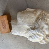 Antique plaster head