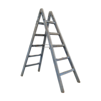 Former stepladder painter ladder