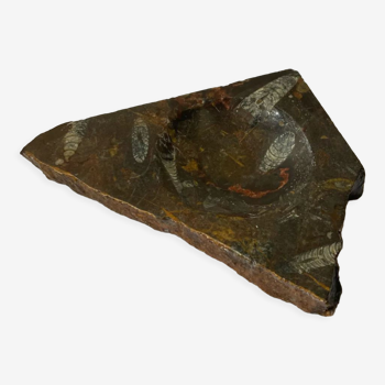 Vintage stone ashtray with orthocera fossils
