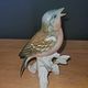 German Saxon Porcelain - Karl Ens - Singing Nightingale