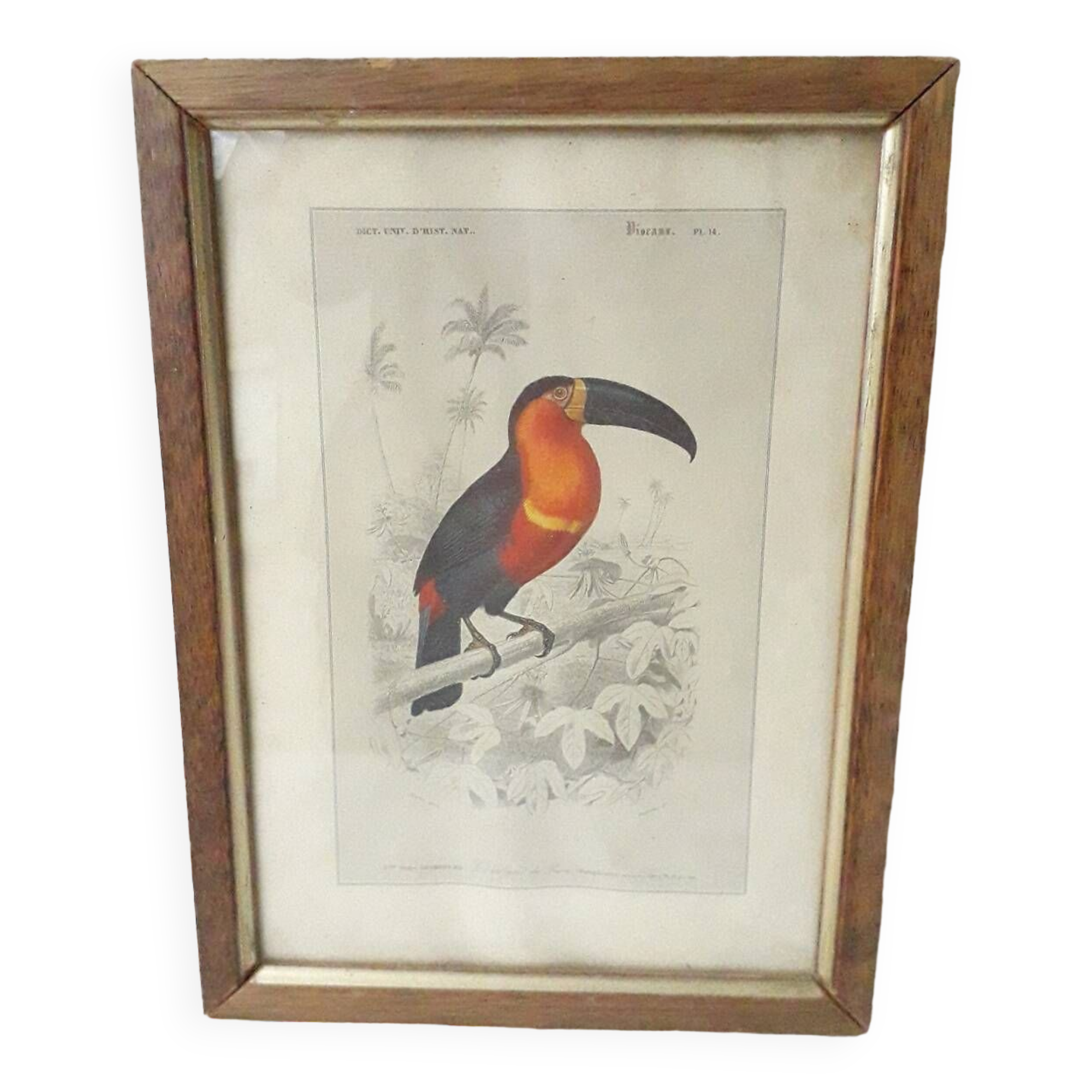 Educational framework