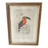 Educational framework