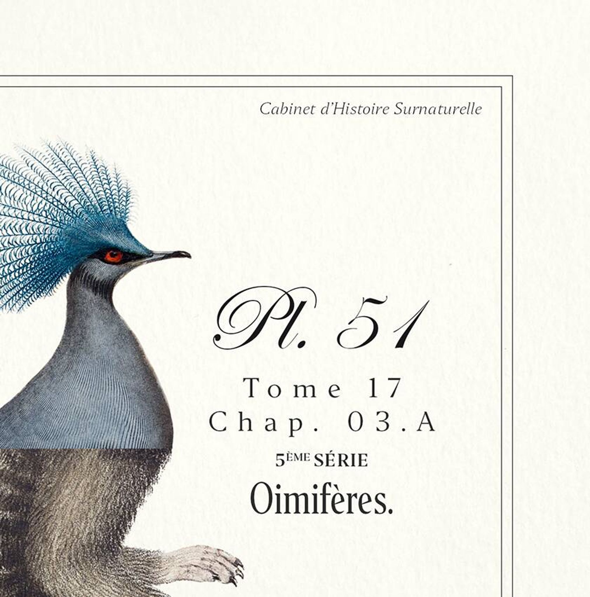 Chimère lithographie gravure animal - le ouistigeon