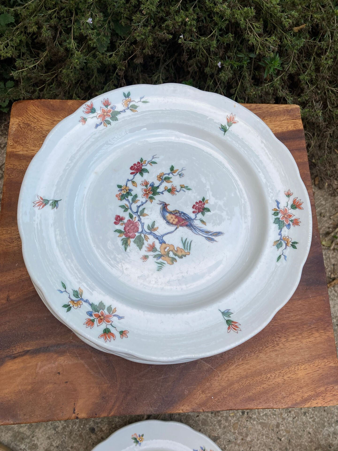 Sarreguemines plates paradise birds / Phoenix