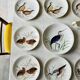 Gien service model birds in polychrome earthenware hand painted