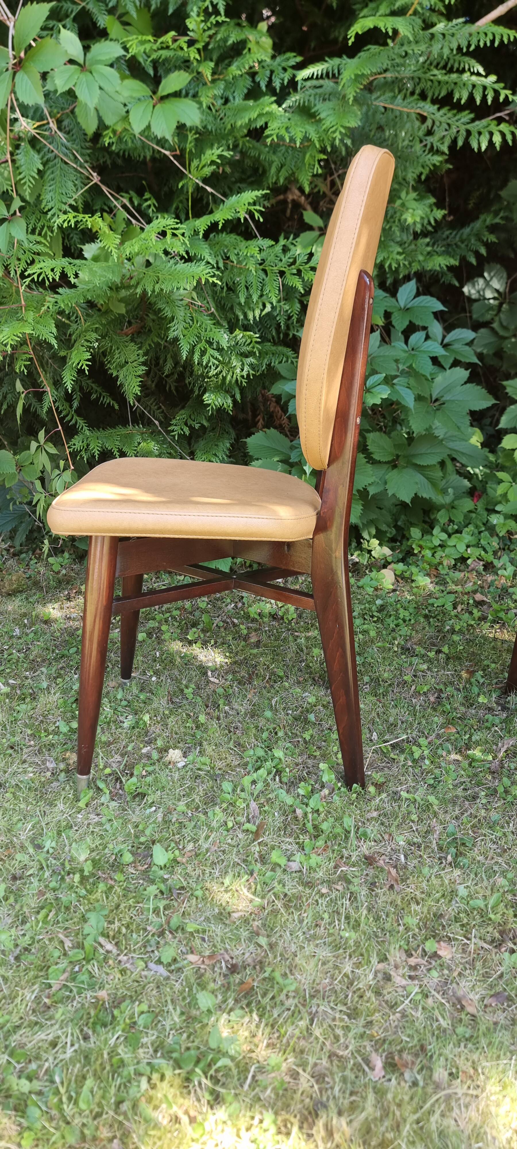 Set of 5 vintage chairs from the 50s