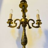 Large table lamps in solid bronze, decorated with acanthus leaves.