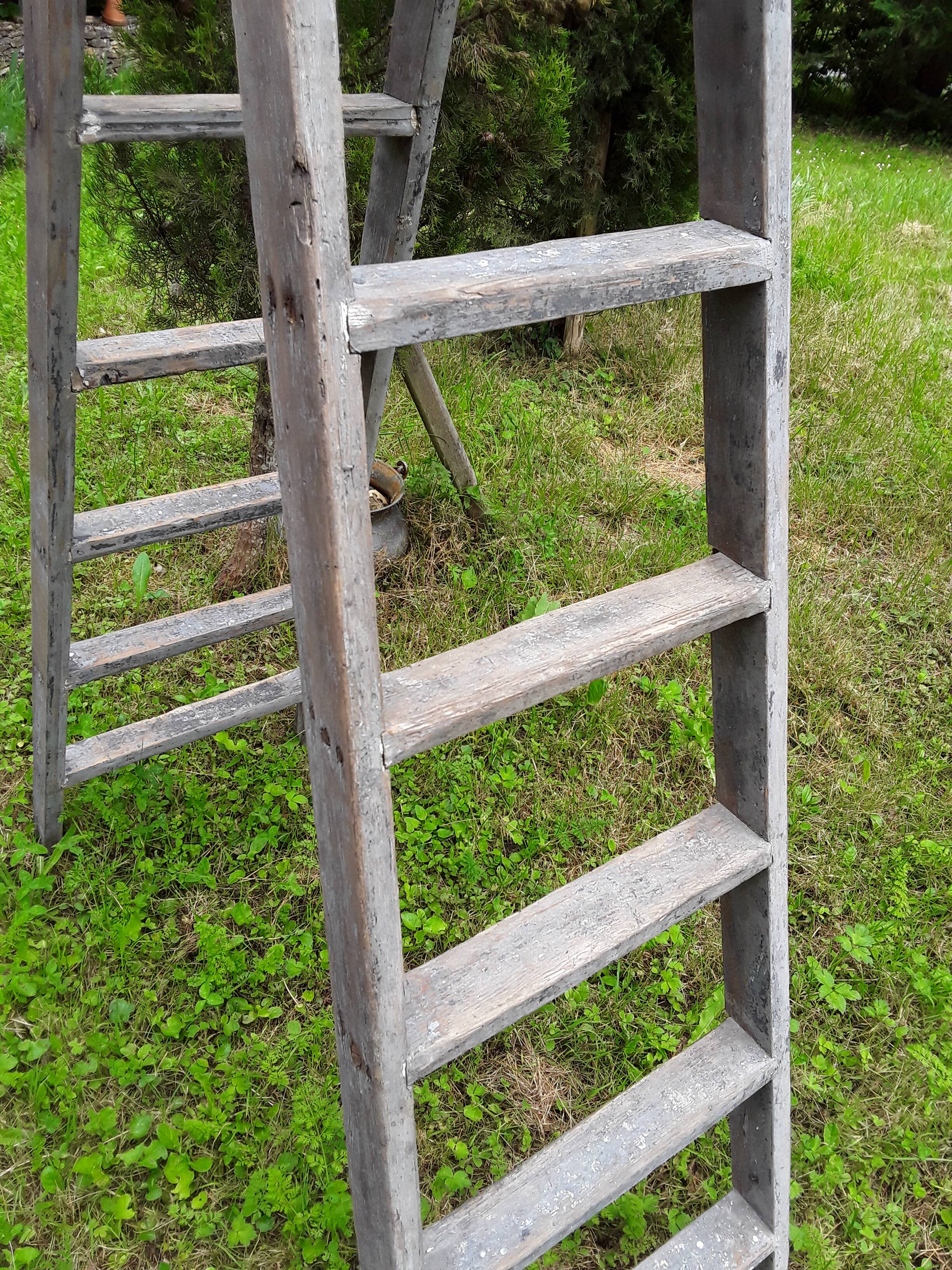 Painter ladder, stepladder