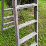 Painter ladder, stepladder