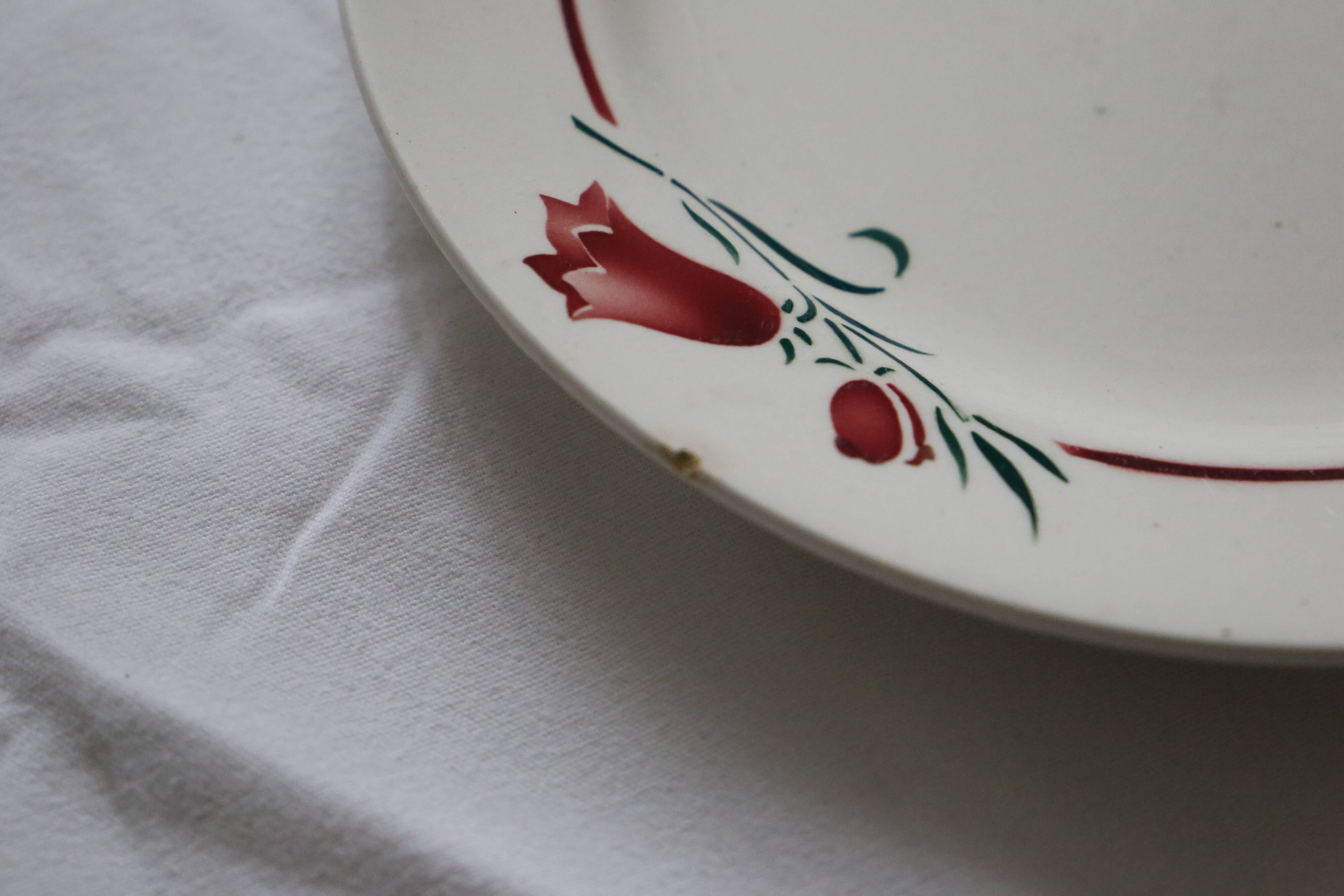 Set of 9 flat plates and 1 round dish, Saint Amand, vintage French, authentic, rare, countryside