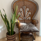 Fauteuil Emmanuelle Peacock