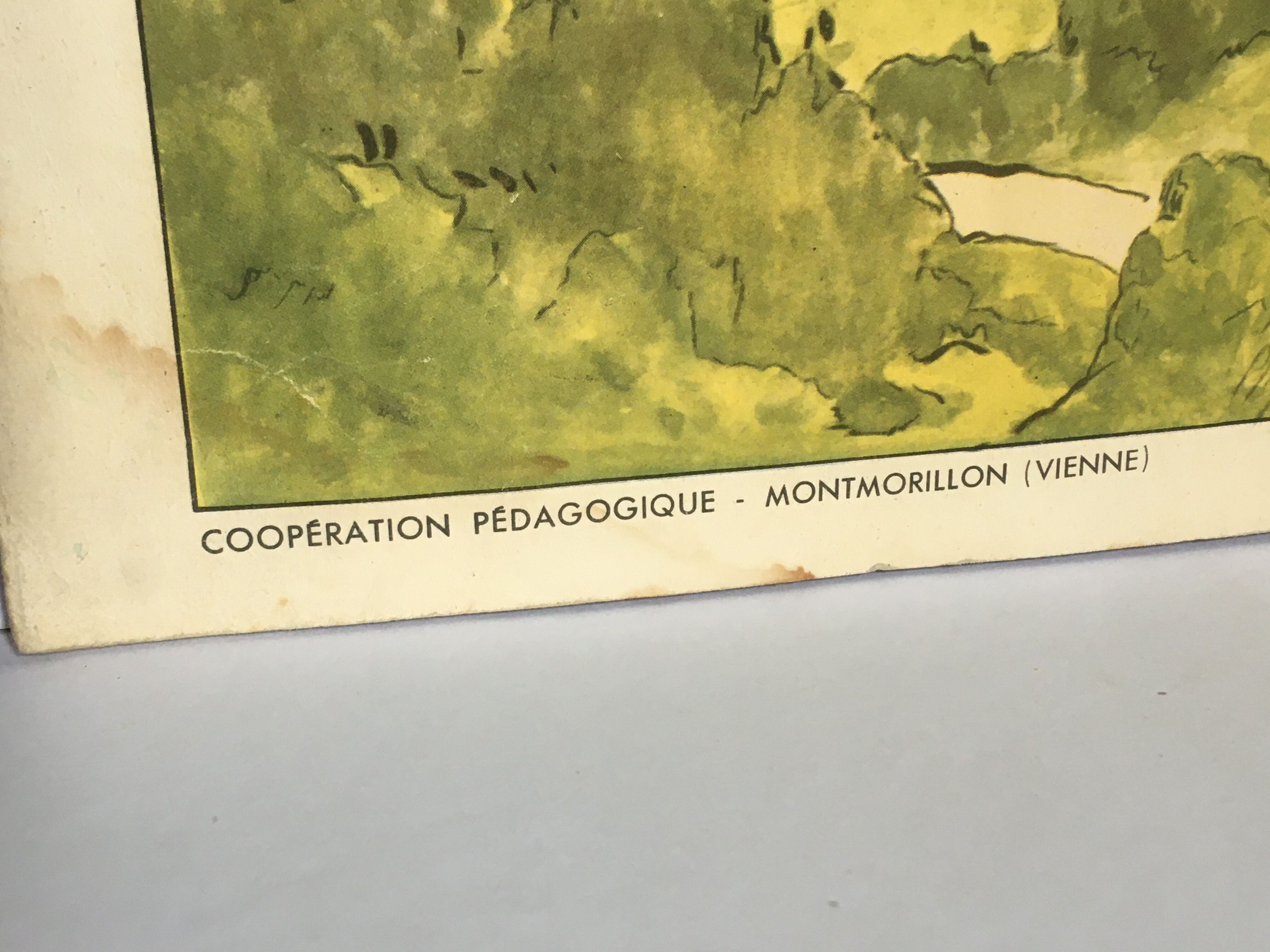 School poster vintage school landscape mountain two-sided signed Raylambert for Rossignol 50s
