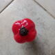 Murano red glass pepper