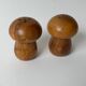 Wooden Mushroom Salt and Pepper Shakers