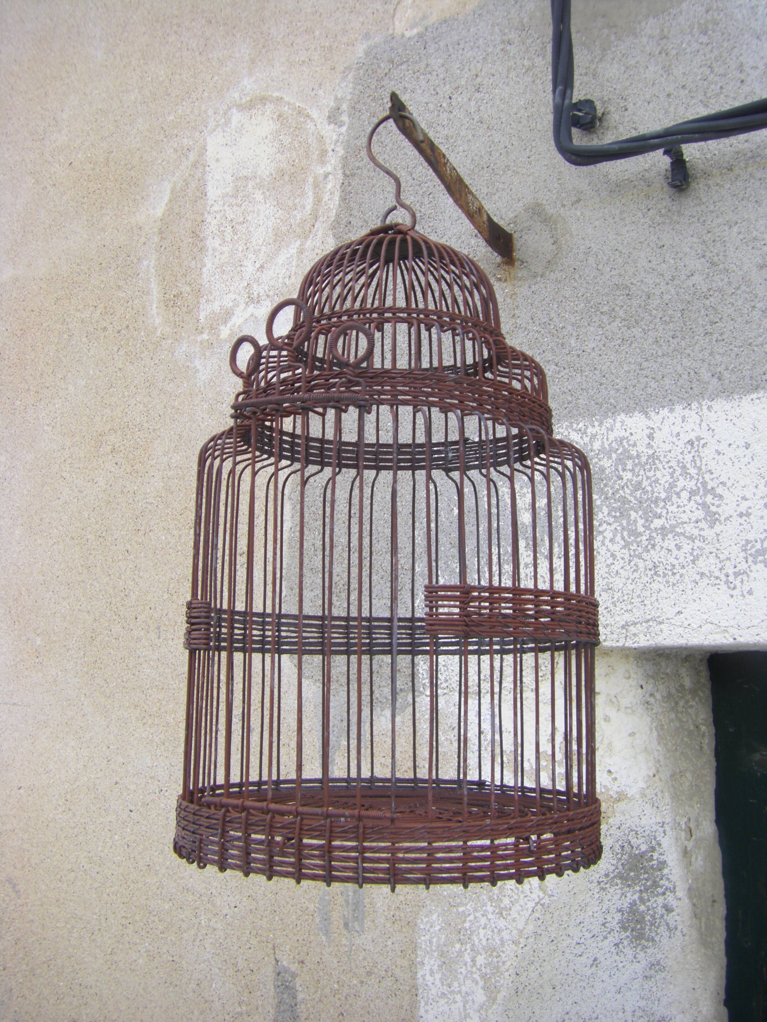 Ancient bird cage