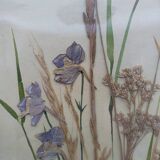 Herbarium on watercolor. the 50's .