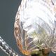 Midcentury Pink Leaf Murano Glass Chandelier by Barovier e Toso, 1950s