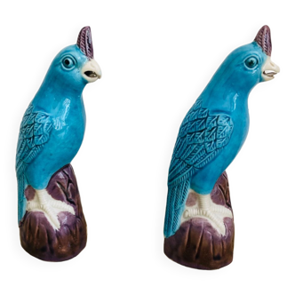 Porcelain Parakeets China