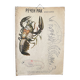 Crayfish vintage anatomy poster wall board from 1960's